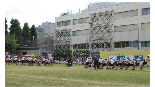 ３年生　心を合わせて、さあひっぱれ！