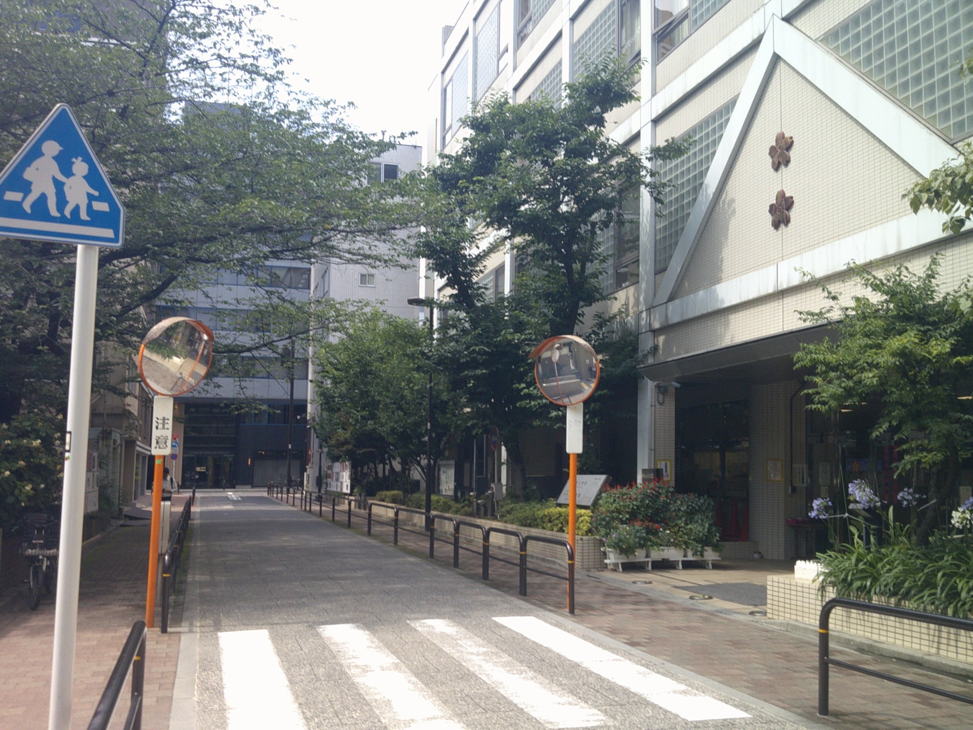 前面道路５.JPG