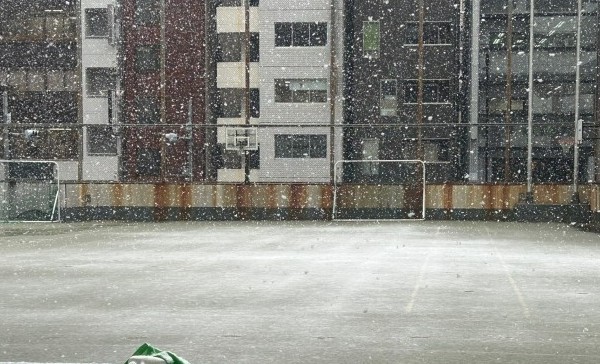春の雪